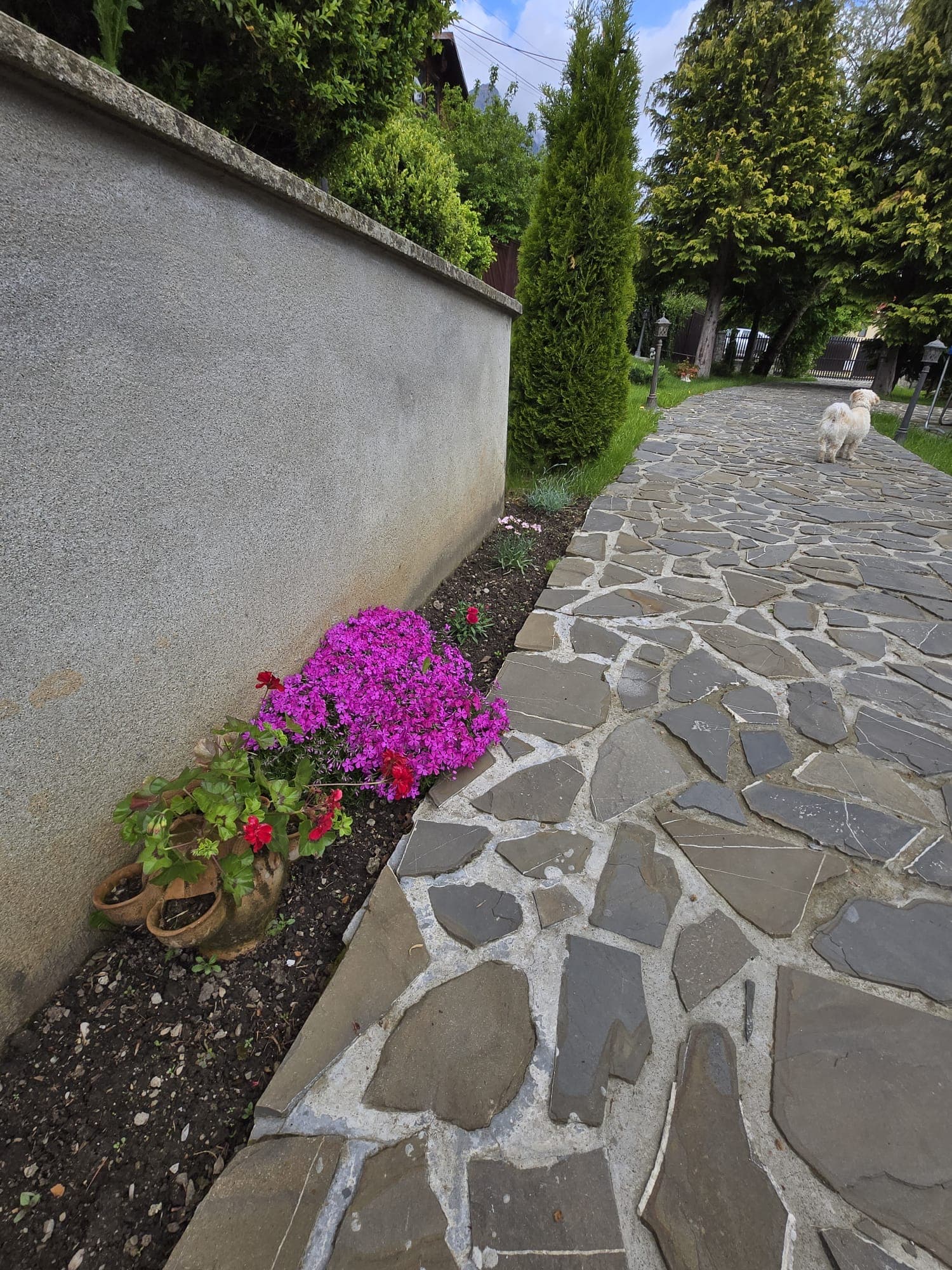 Aleea de piatră mărginită de flori roz
