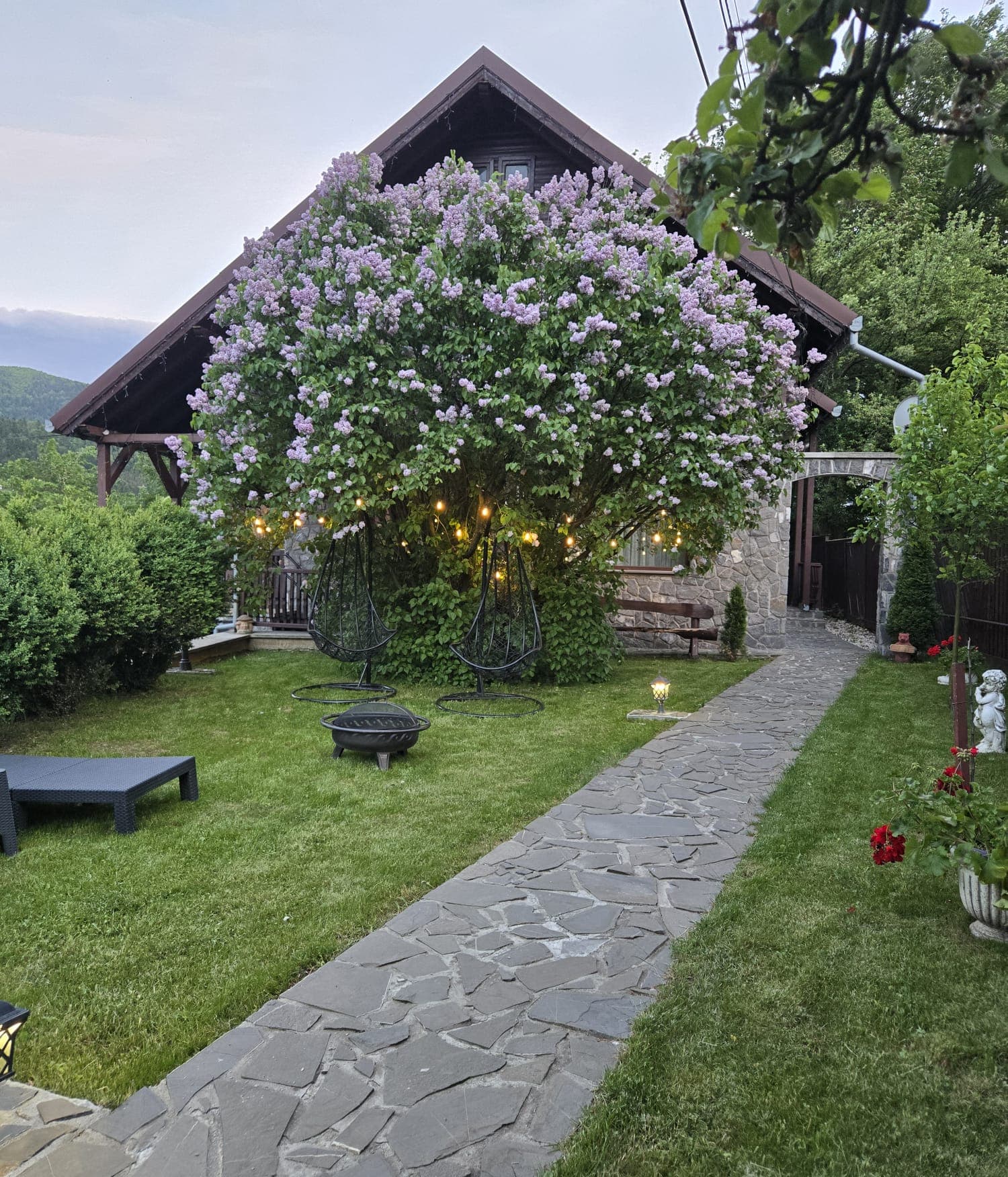Casa și liliacul înflorit în lumina serii
